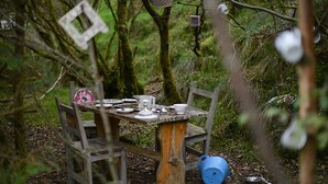 Garden - An Creagán Self Catering Cottages (Omagh)