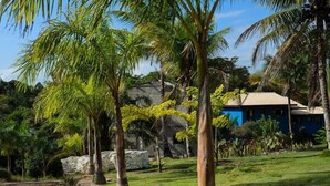 A tropical landscape with palm trees, a stone wall, and a blue building with a tiled roof. - Trancoso Residence (Porto Seguro)