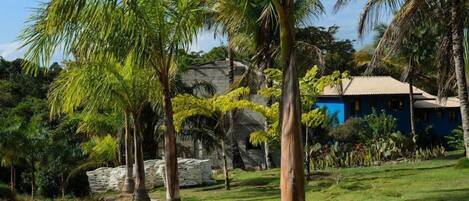 A tropical landscape with palm trees, a stone wall, and a blue building with a tiled roof.