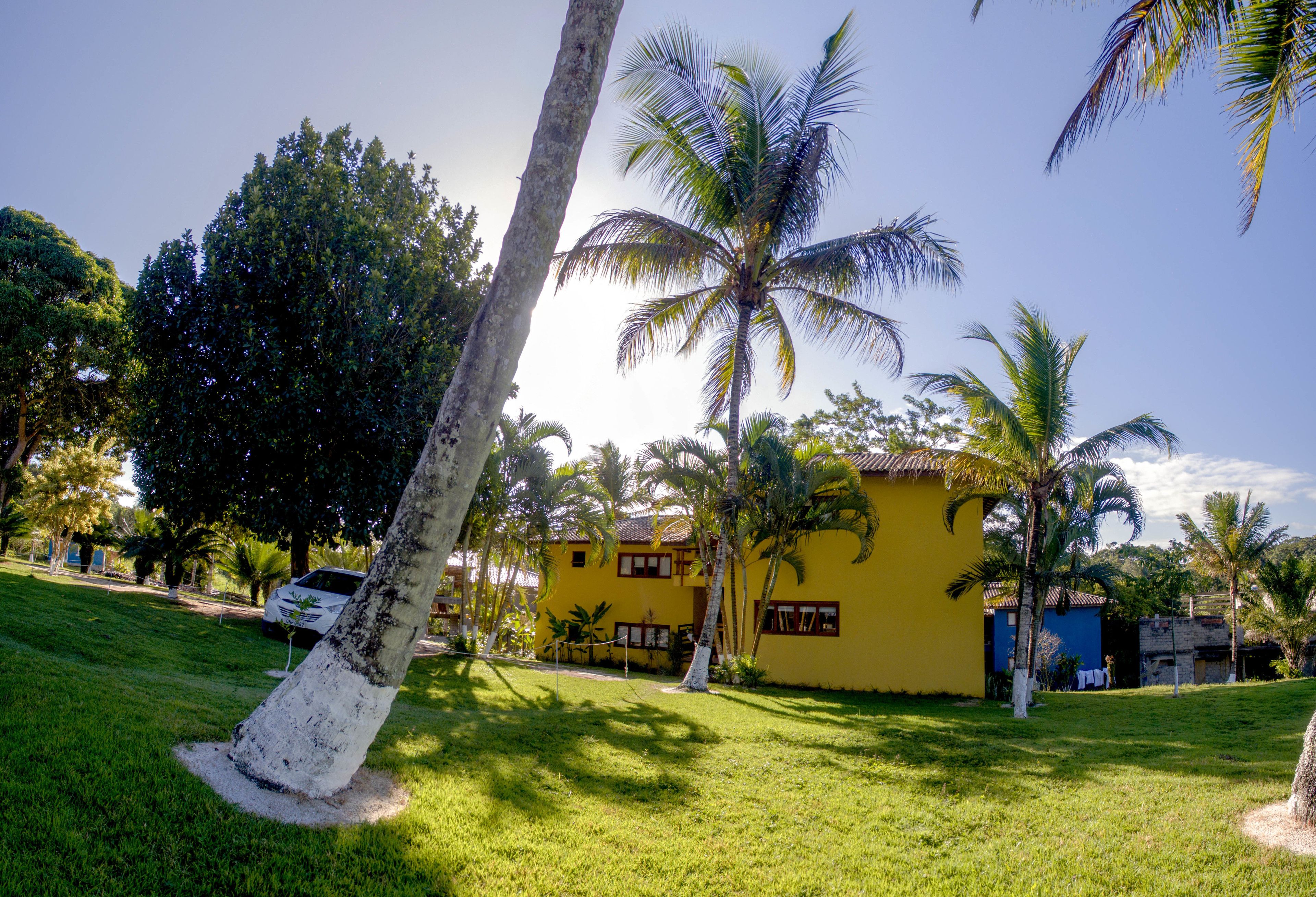 A yellow building with a white fence, surrounded by palm trees and a grassy area.