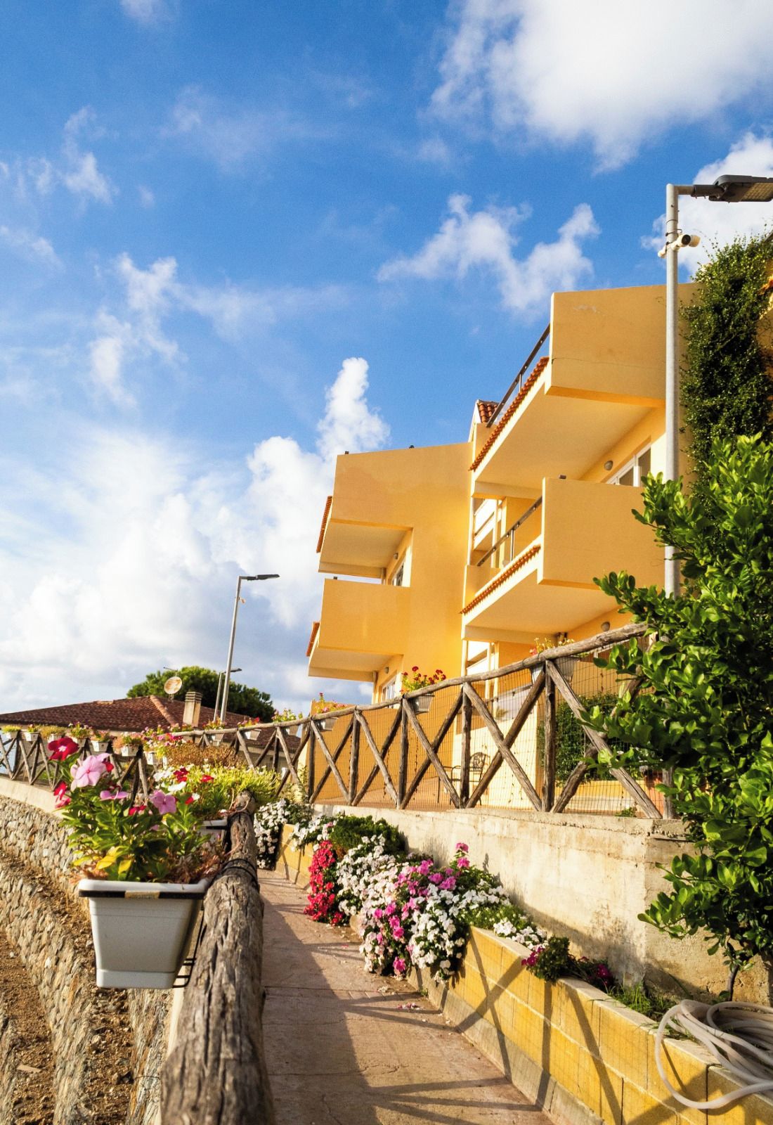 A multi-story building with balconies, a paved pathway, and a variety of potted plants.