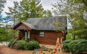 A rustic cabin with a porch, surrounded by dense forest. - Bucky`s Mountain Vista (Blue Ridge)