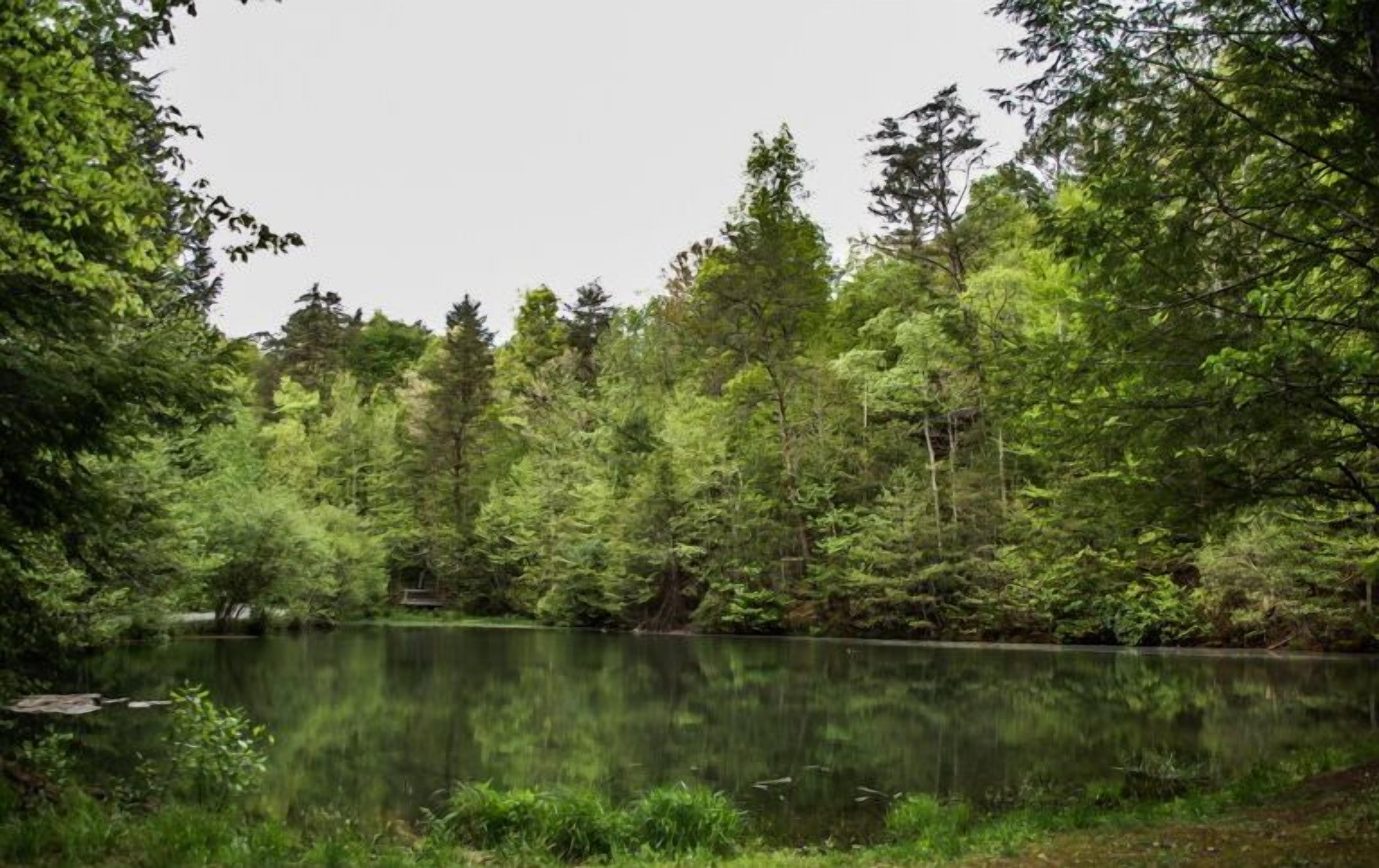 Lake