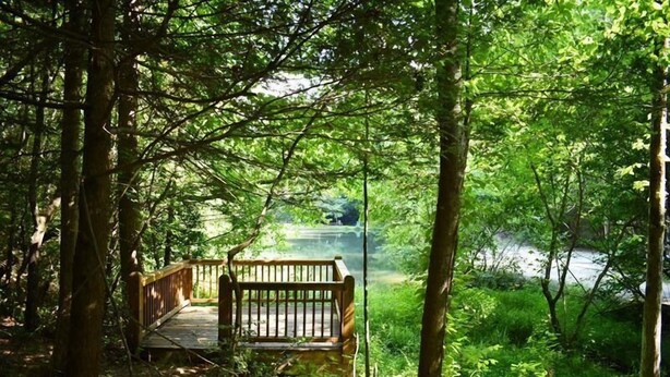 A wooden bench in a forested area with a view of a body of water. - Indian Rock Lake (Blue Ridge)