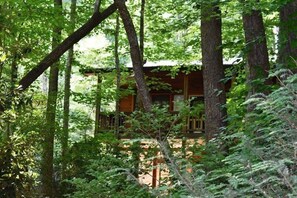 하우스 | 숙박 시설 구내