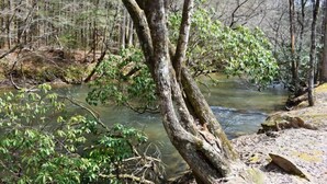 A natural landscape with a river, trees, and a rocky terrain.