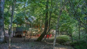 A forested area with a wooden structure, possibly a cabin or lodge, surrounded by trees and a clear path. - Harleys River Retreat (Ellijay)