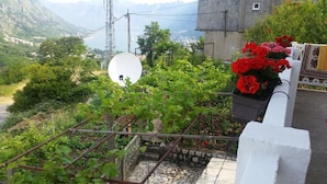 A garden with a satellite dish, red flowers, and a view of mountains. - Panoramic Paradise (Morganton)