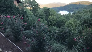 A garden with various plants and a view of a lake and hills in the background. - Light`s Mountain Lake Overlook (Blue Ridge)