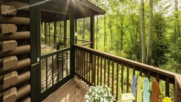 A log cabin with a wooden deck and large windows overlooking a forest. - Acorn Bungalow (Blue Ridge)