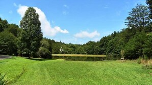 Un área verde bien cuidada con un estanque y árboles densos al fondo.