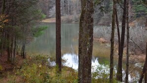 A serene forested area with a calm lake surrounded by tall trees. - Misty Lake Lodge (Blue Ridge)