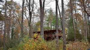 A cabin surrounded by tall trees with autumn foliage. - Misty Lake Lodge (Blue Ridge)