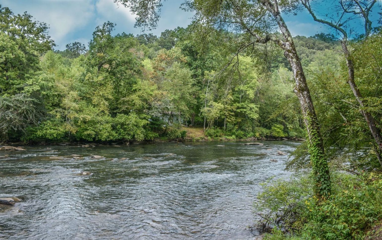 A river flowing through a densely wooded area with trees and foliage on both sides.