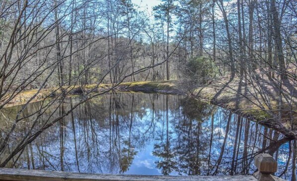 House | Property grounds