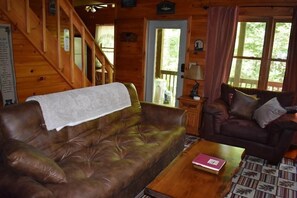 Televisión de pantalla plana, chimenea, reproductor de DVD