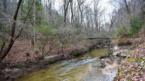 Un petit ruisseau serpente à travers une zone boisée, où les arbres sont nombreux et le lit du ruisseau est rocheux.