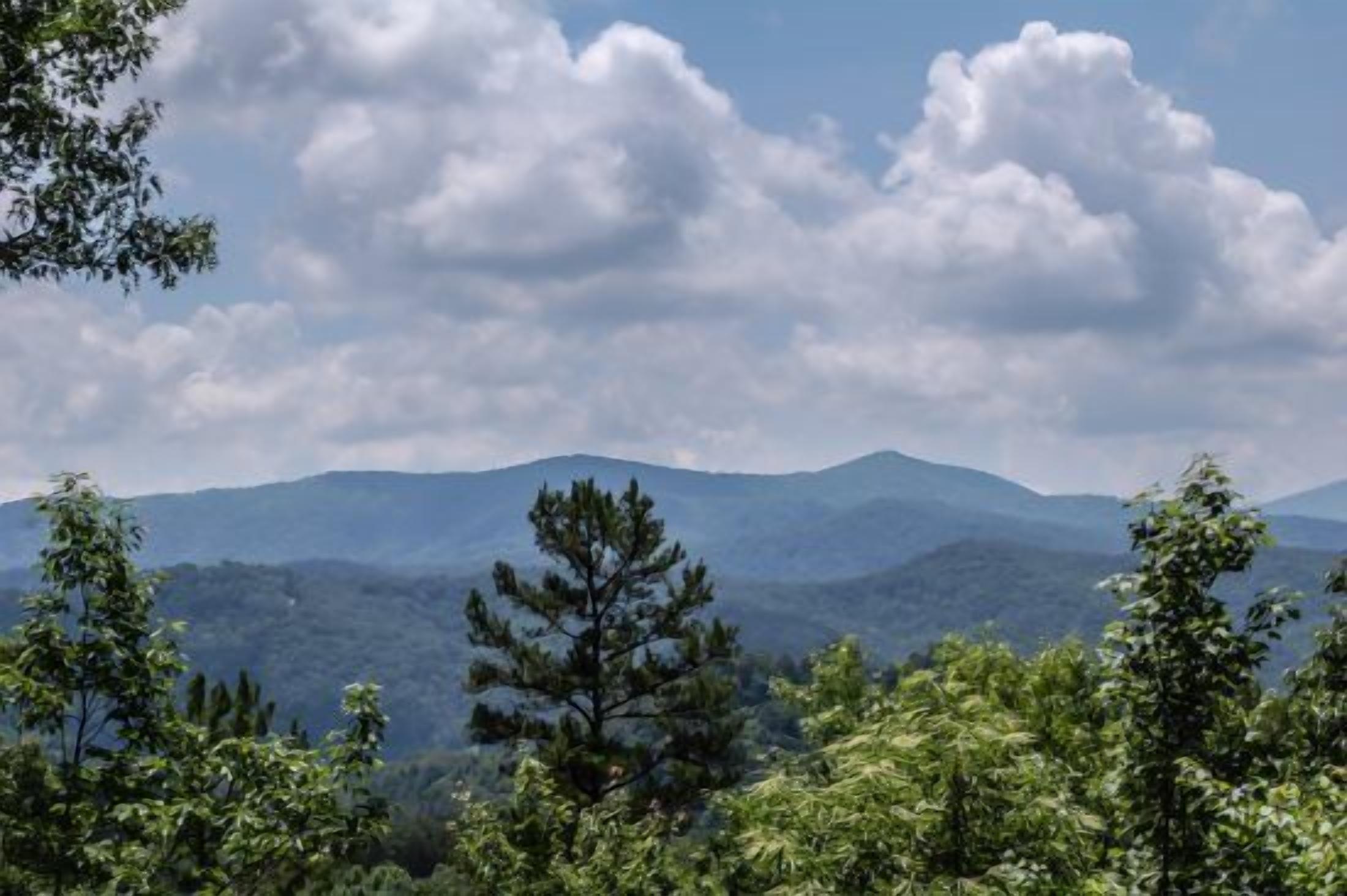A mountainous landscape with dense forest and a clear sky.