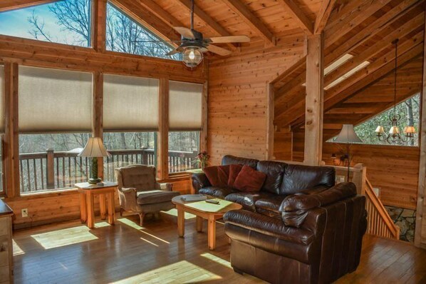 Living area - Skydancer (Blue Ridge)