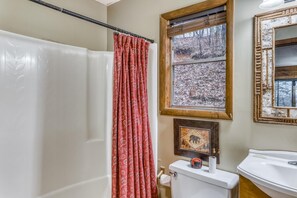 A bathroom with a shower curtain, a window with a view of a snowy landscape, a framed picture on the wall, and a toilet with a roll of toilet paper. - Deepwater Lodge (Blue Ridge)