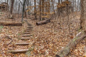 Property grounds - Deepwater Lodge (Blue Ridge)