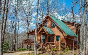 A log cabin with a green roof, surrounded by trees. - Wolf`s Den (Blue Ridge)