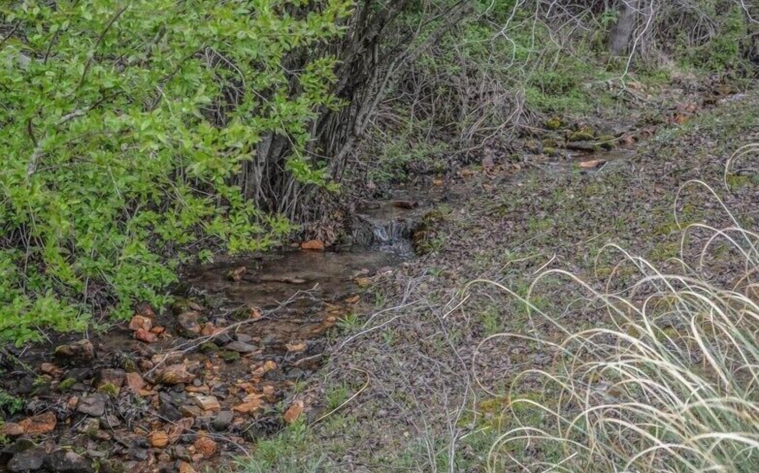 Un cours d’eau naturel, bordé de végétation et de rochers.