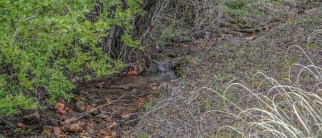 Un cours d’eau naturel, bordé de végétation et de rochers.