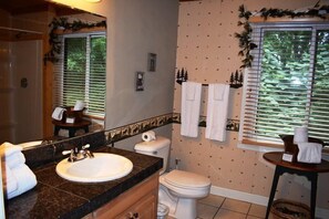 A bathroom with a sink, toilet, and a mirror. - Roosters Roost (Blue Ridge)