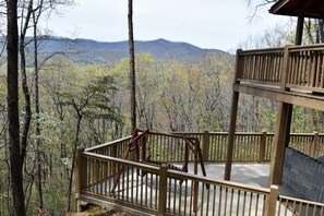 Terrace/patio - A Birds Eye View (Blue Ridge)