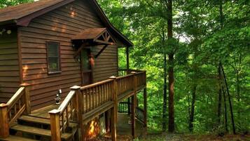 A wooden cabin with a porch and steps, surrounded by dense forest.