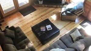 A cozy cabin interior with a stone fireplace, two sofas, a coffee table, and a television. - Mi Casa es su Casa (Blue Ridge)