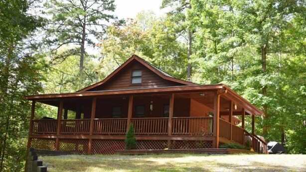 A wooden cabin with a porch, surrounded by trees. - Skip to the Lake (Blue Ridge)