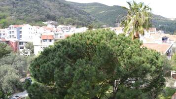 Vista desde la propiedad