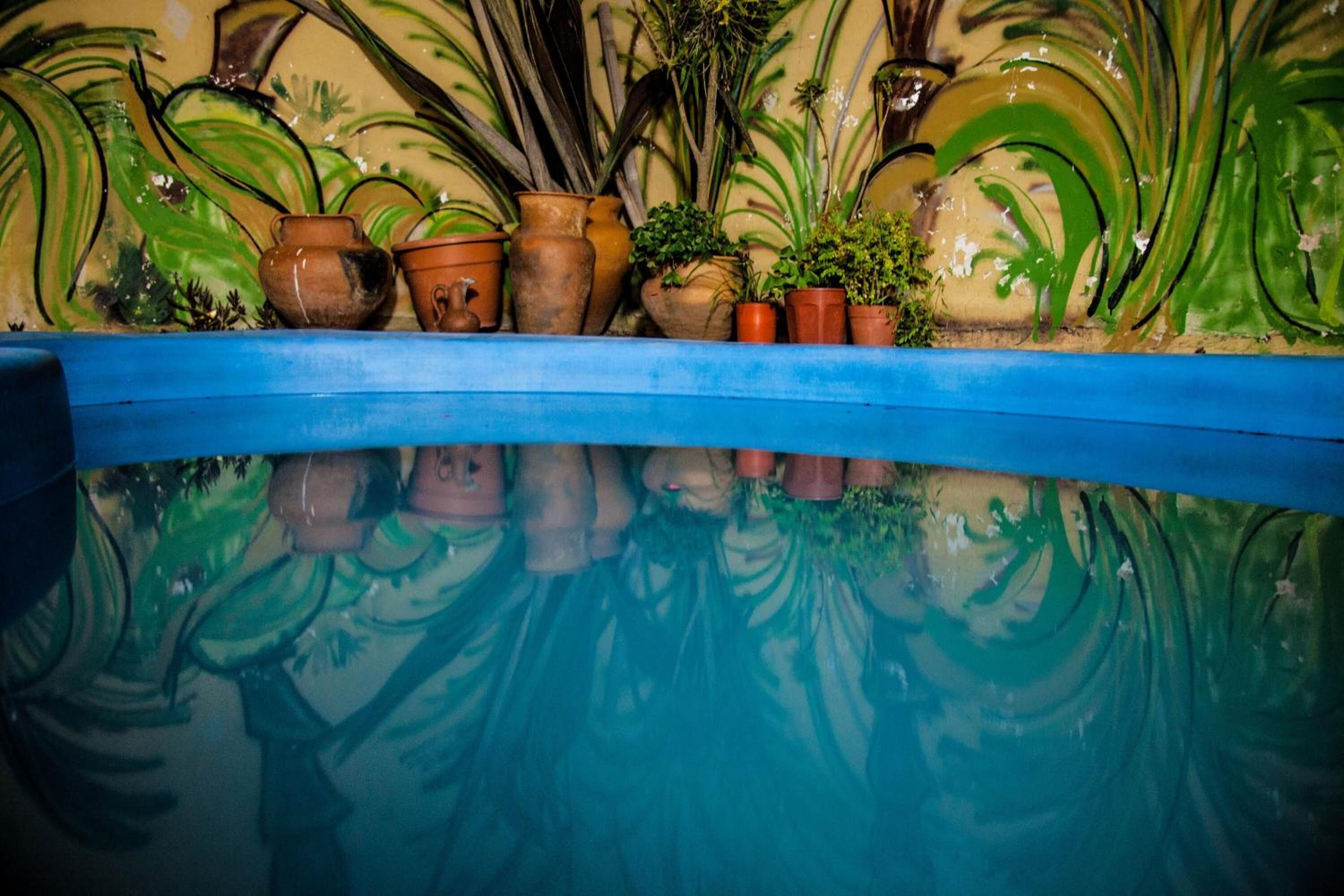 A pool with a blue edge and various potted plants and terracotta pots arranged along the side.