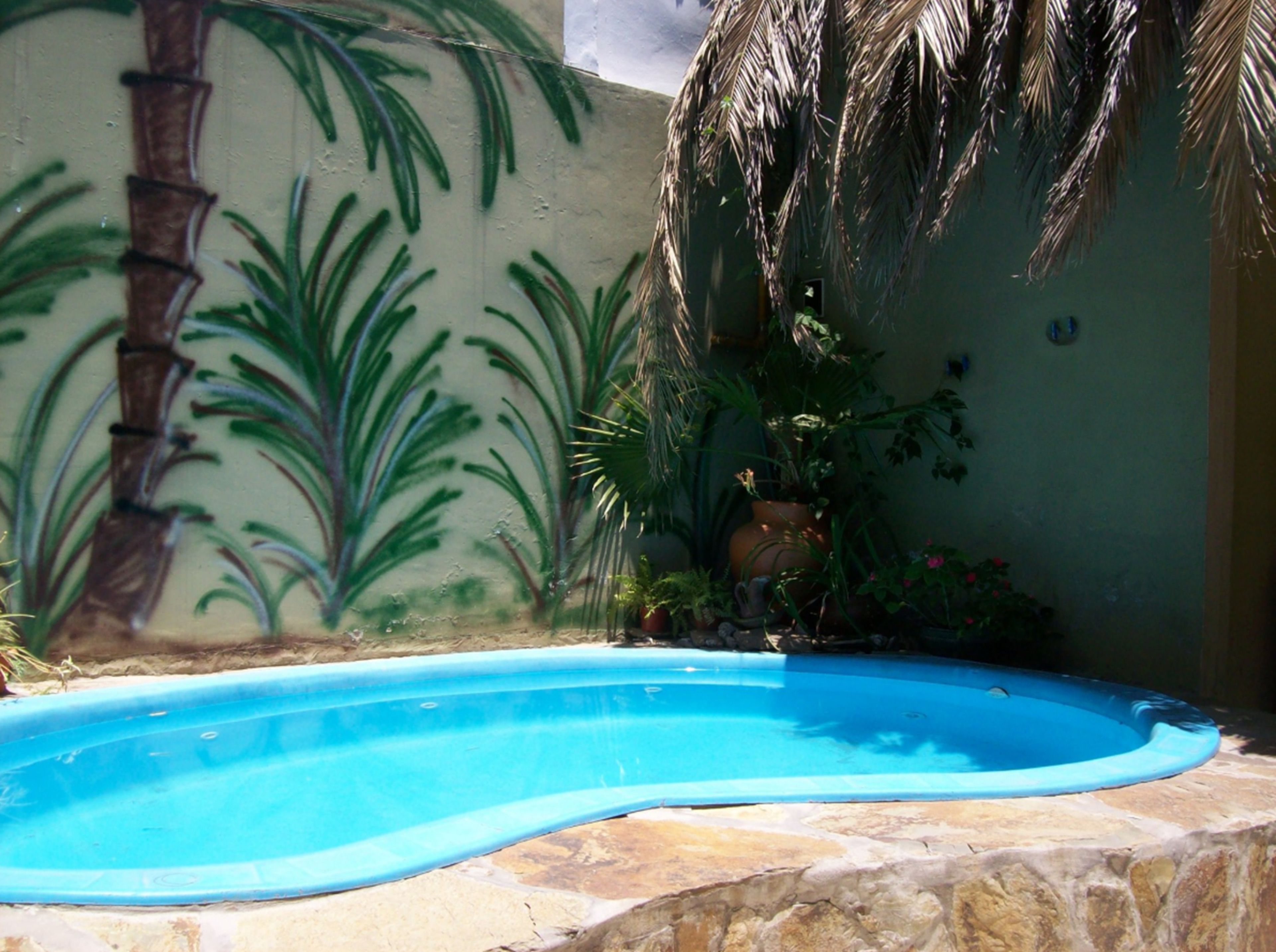 Piscina externa