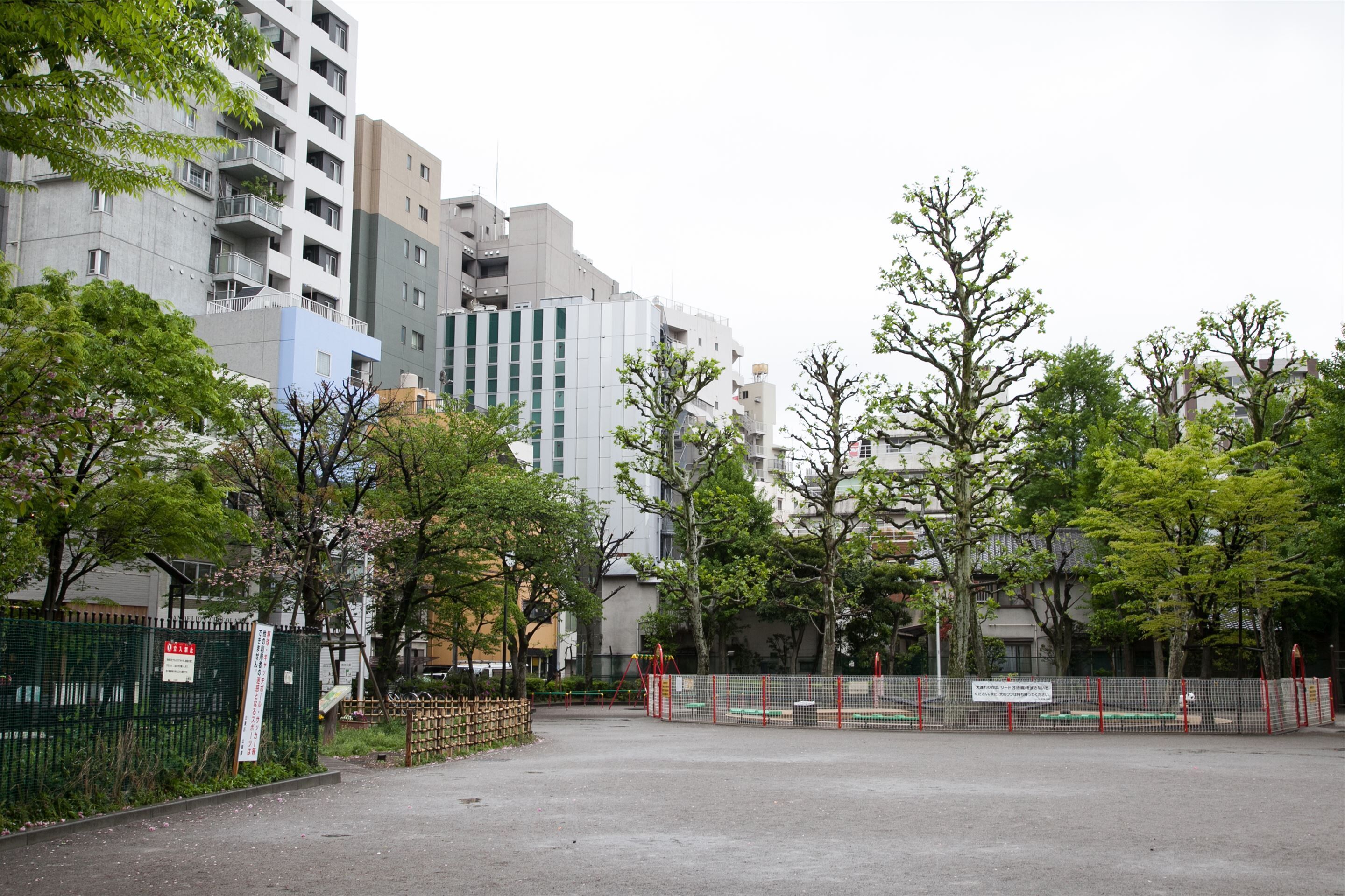 A parking lot with a green fence, trees, and buildings in the background.
