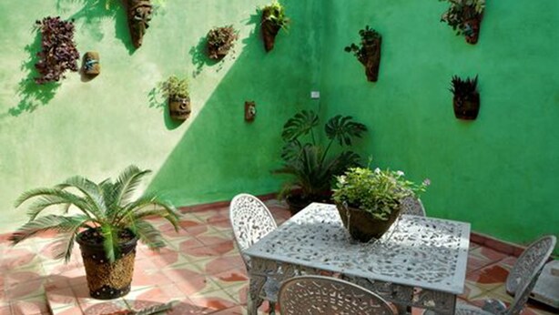 Un patio con una mesa y sillas, rodeado de plantas en macetas y una pared verde.