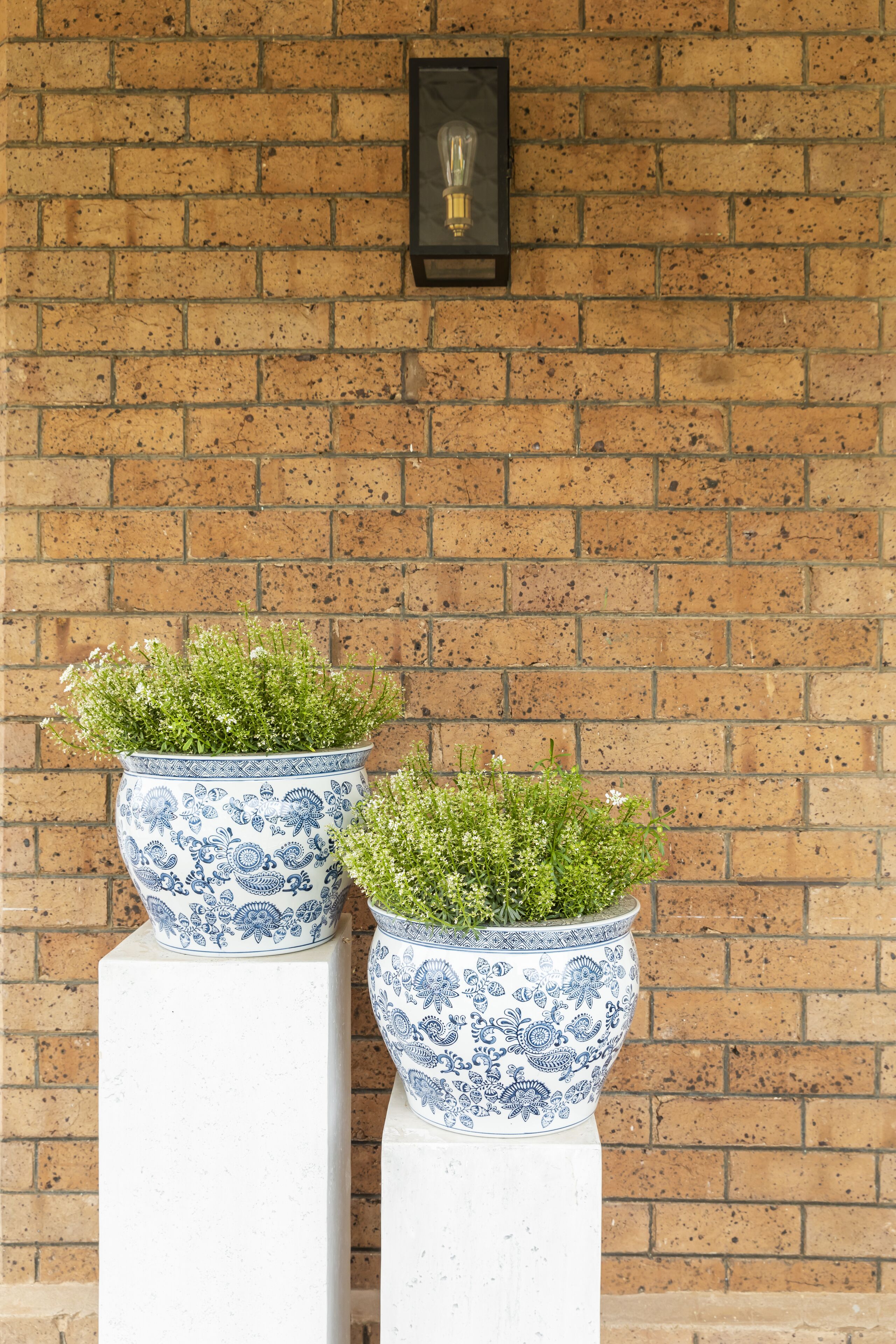 the yallungah suite | balcony