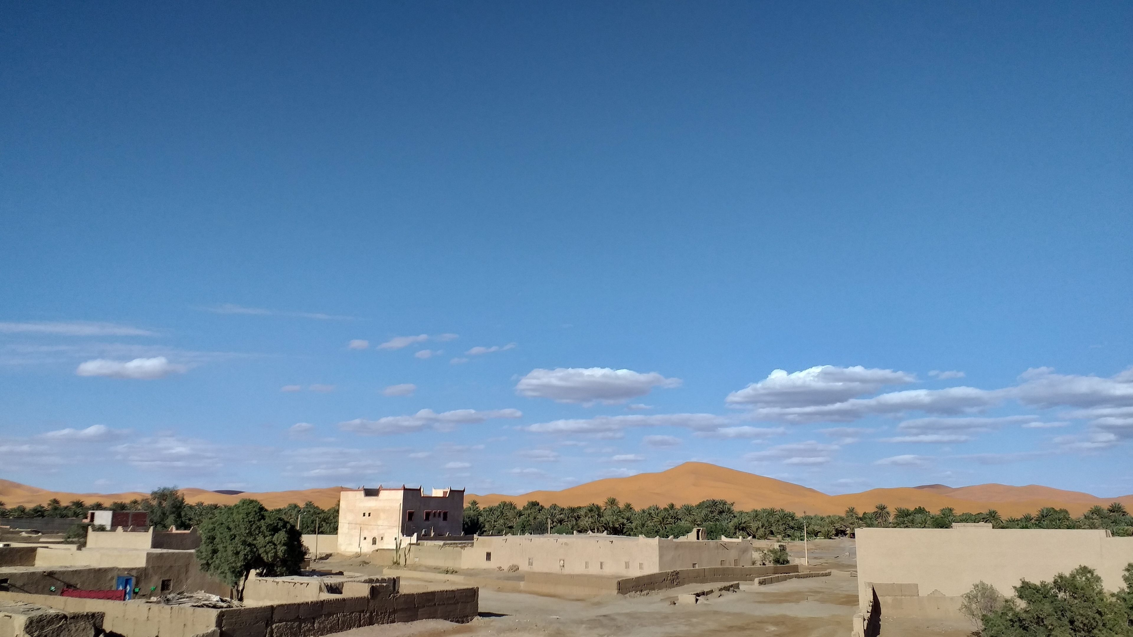 A desert landscape with sand dunes in the background, a clear blue sky, and sparse vegetation.