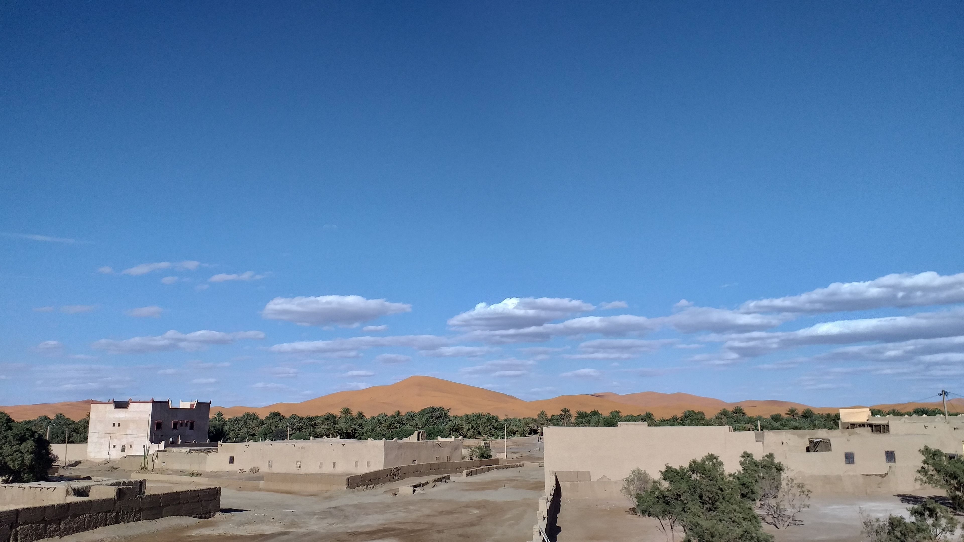 Paisaje desértico con edificios y palmeras.