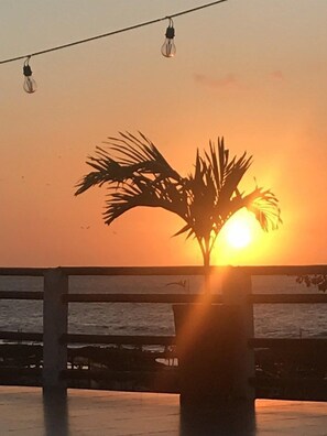 Terrace/patio - Hotel Palmera Beach (Cartagena)