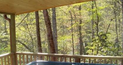 Hytti Hill - Romanttinen 1 mh 20 hehtaarin Country Retreat - Lähellä Asheville