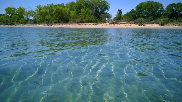 A clear view of a beach with calm waters and a sandy shore. - Beautiful Apartments in a green and peaceful area near the beach on Corfu island (Lefkimmi)