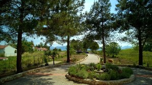A paved pathway lined with trees and a stone border. - Beautiful Apartments in a green and peaceful area near the beach on Corfu island (Lefkimmi)