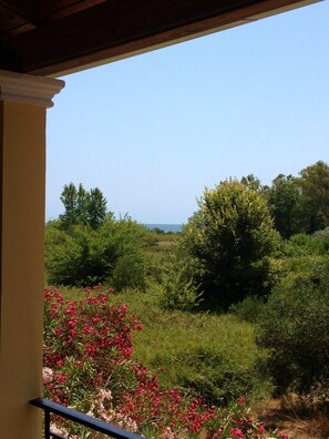 Interior - Beautiful Apartments in a green and peaceful area near the beach on Corfu island (Lefkimmi)