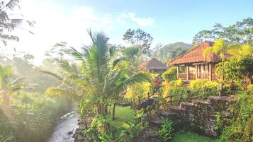 Taman