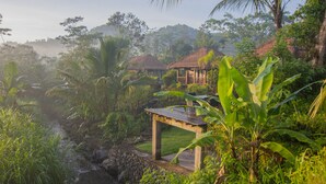 Exterior - The Campuan Villa (Selat)