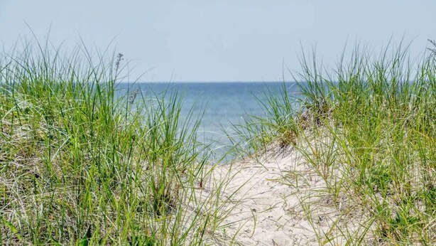 Ein Strand mit Sand und hohem Gras im Vordergrund.