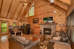 テレビ、暖炉、テレビゲーム、DVD プレーヤー